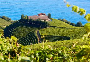 Urain Suites apartamentos rurales en Itziar-Deba